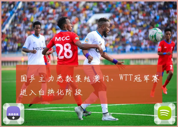 国乒主力悉数集结澳门，WTT冠军赛进入白热化阶段