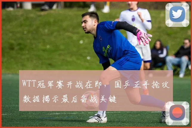 WTT冠军赛开战在即，国乒正手抢攻数据揭示最后备战关键