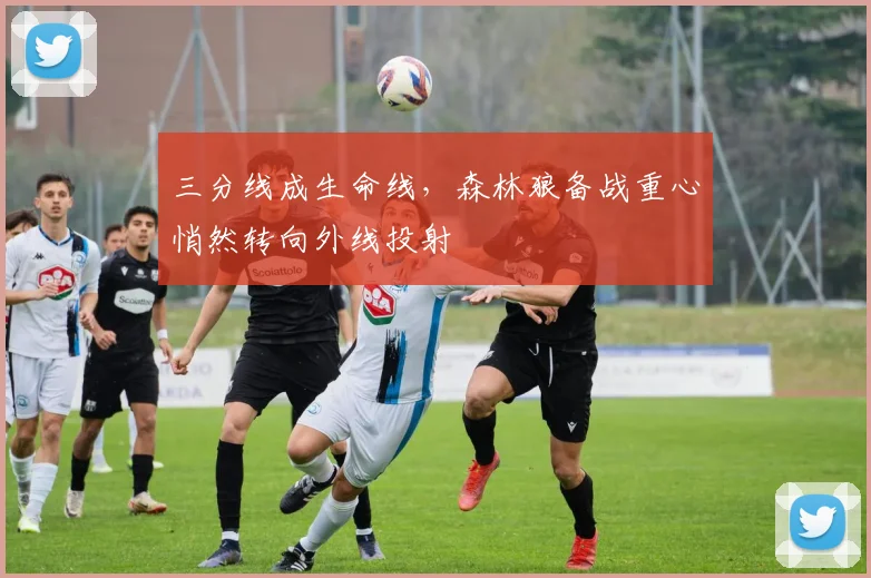 三分线成生命线，森林狼备战重心悄然转向外线投射