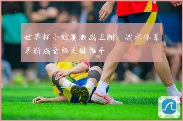 世界杯小组赛激战正酣，战术体系革新成晋级关键推手